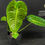 Miniature : ANTHURIUM VEITCHII LARGE 1