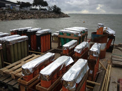 LA BAULE aout 2014 (3).jpg