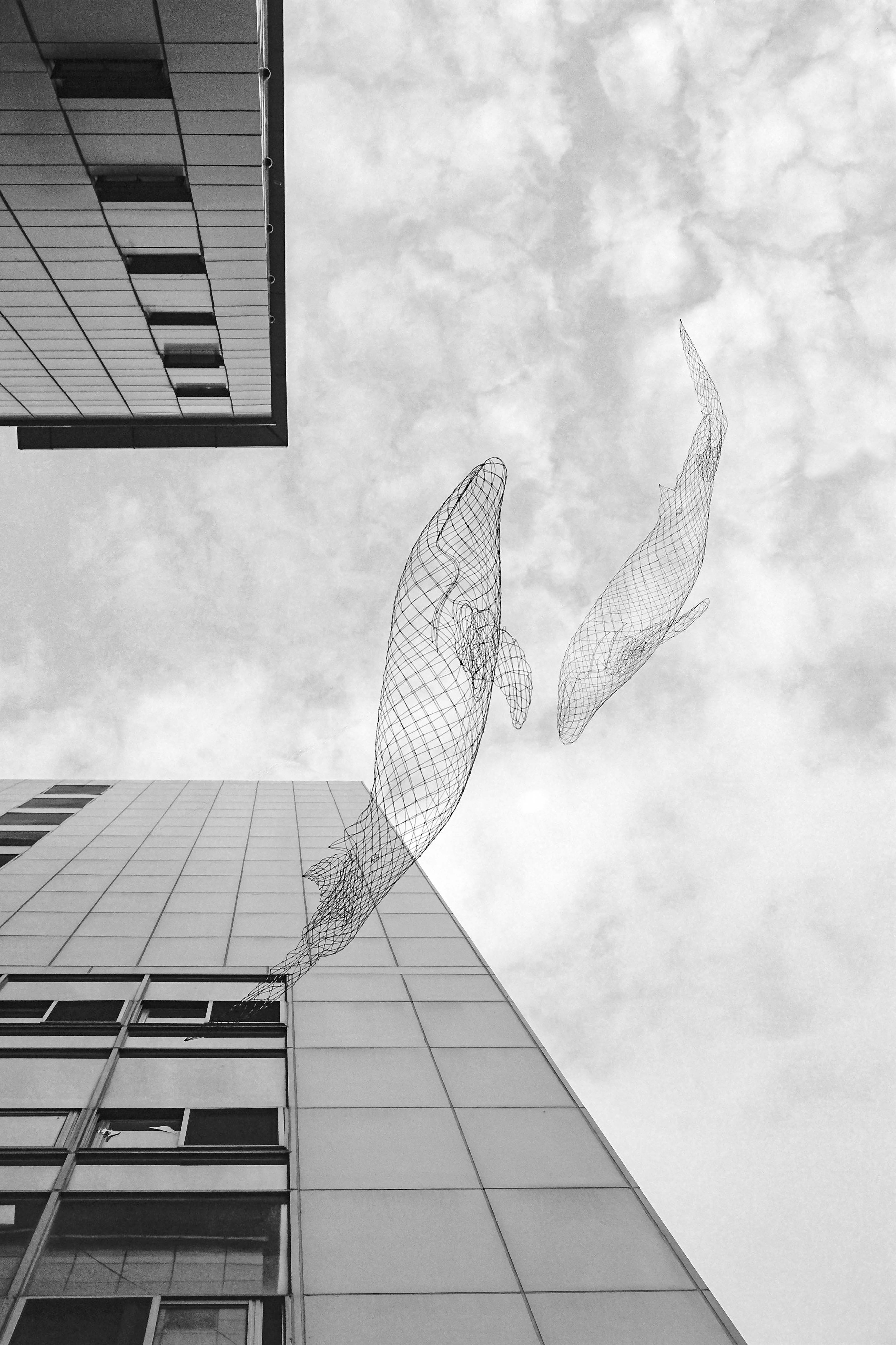 Fish Tank so Called City