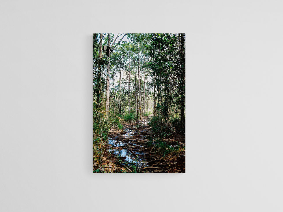 Thumbnail: Bako National Park