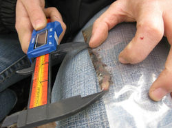 Measuring Plethodonid salamanders