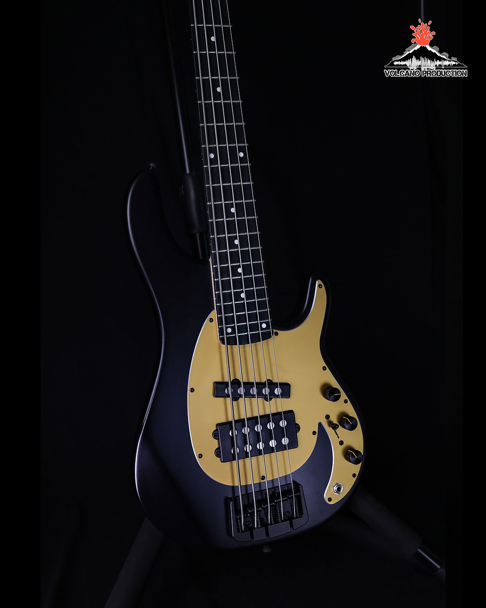 縮圖：Alusonic Django Standard 5 Custom Shop Black Gold