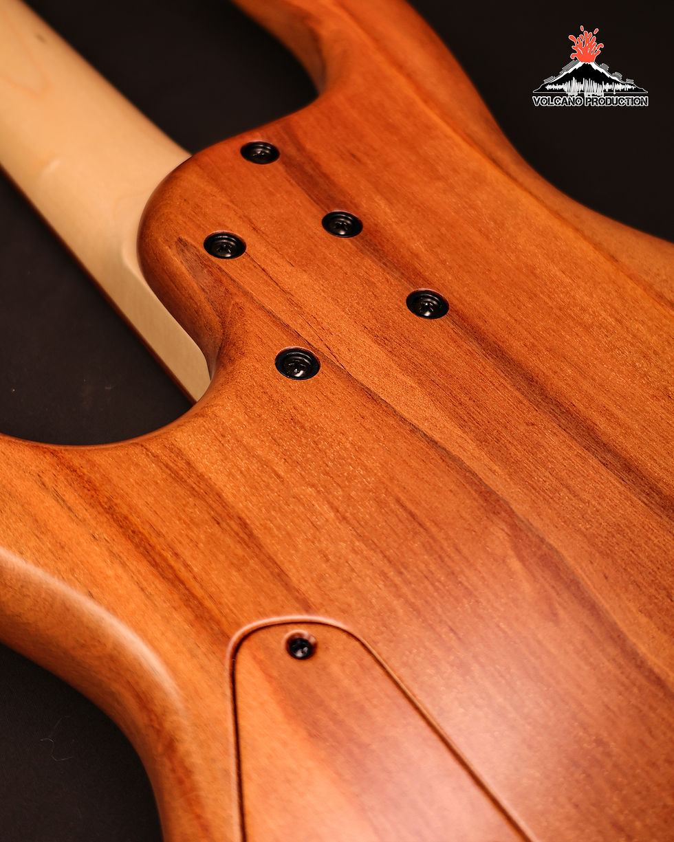 縮圖：Meridian J-24 4 Amboyna Burl