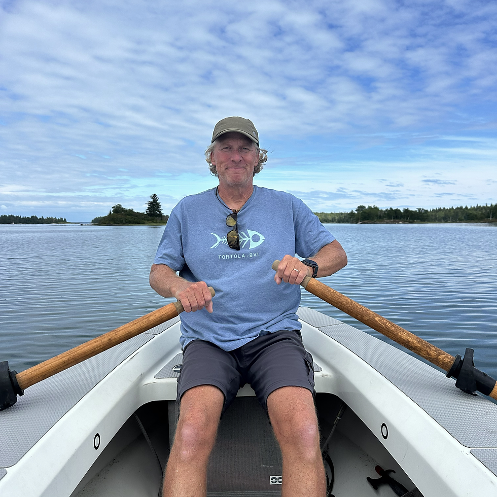Sometimes we row the boat - the seals are a lot more curious when you do!