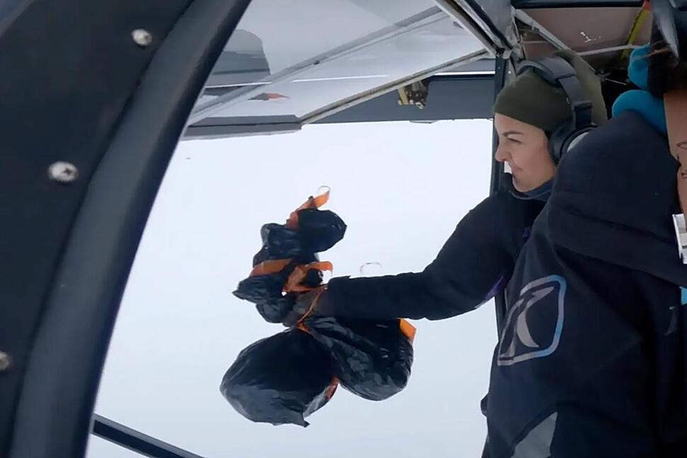 ree