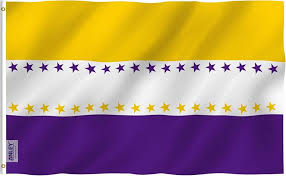 The National Women's Party created their own flag to symbolize their struggles to achieve suffrage. During the drive to ratify the 19th Amendment, they would sew a star on the flag for each state that ratified the amendment. When the 19th Amendment was ratified, Alice Paul, the leader of the NWP, unfurled a flag with stars representing each state at their headquarters in Washington, D.C.