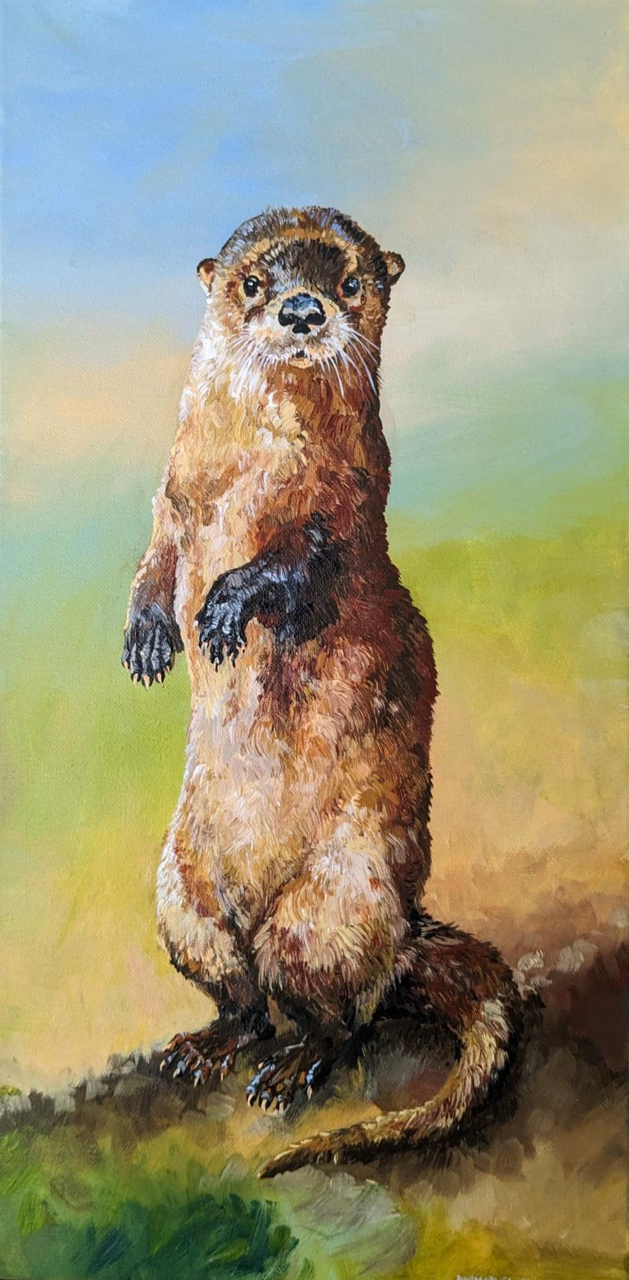 Otter