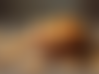 Choosing Freeze-Dried Treats: The Ultimate Guide for Your Dog