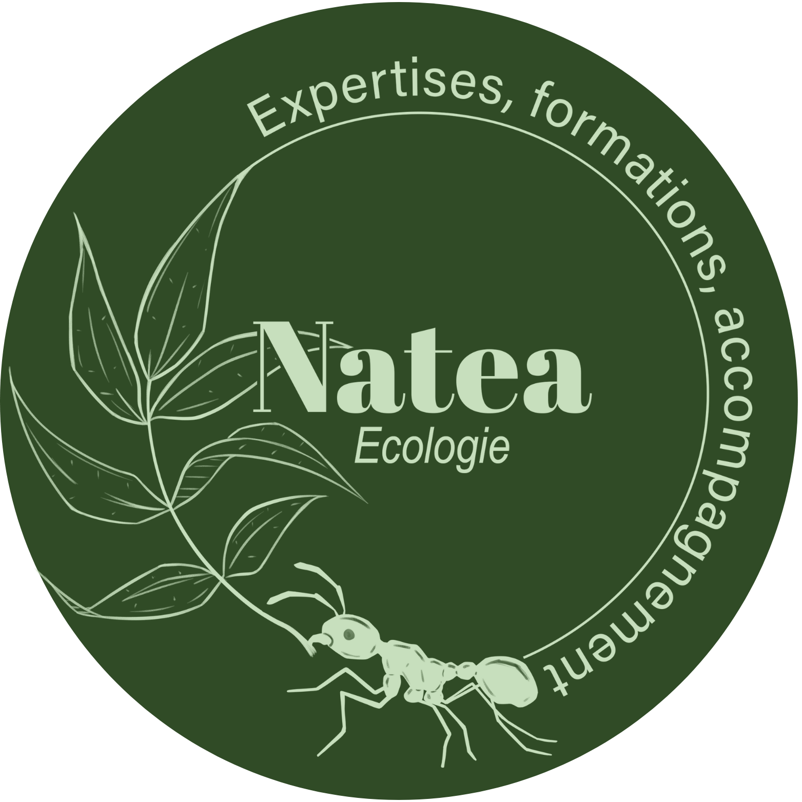 Photo du rédacteur: Hugo Tauru