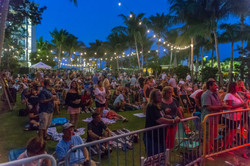 Rick Springfield Lawn NWM-8275