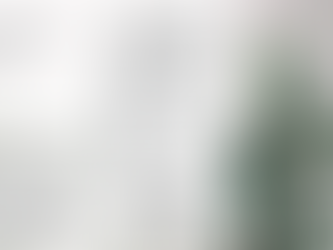 2024년 7월 21일 주보 