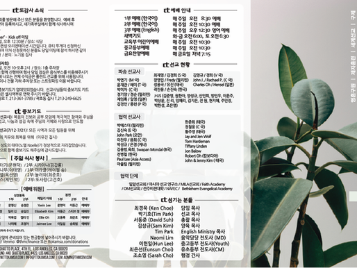 2025년 6월 15일 주보