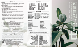 2025년 7월 13일 주보