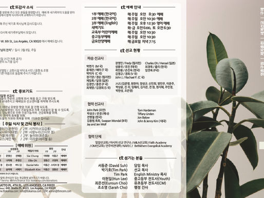 2026년 2월 22일 주보 