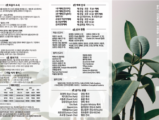 2025년 6월 29일 주보