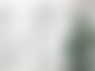 2024년 9월 22일 주보