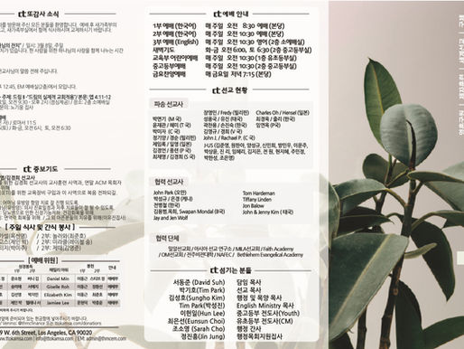 2026년 3월 8일 주보 