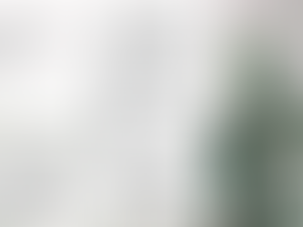 2023년 11월 26일 주보