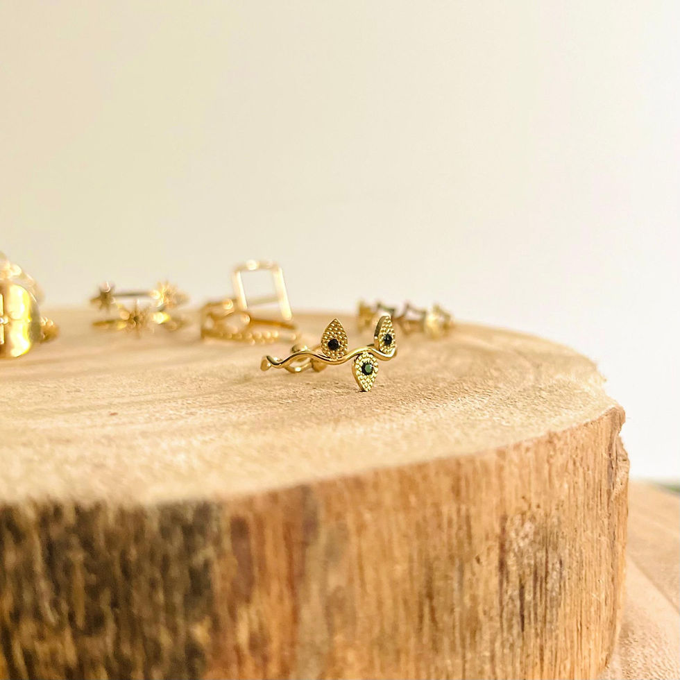 Miniature : Bague en acier Isi