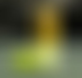 The Tennis Ball's Evolution