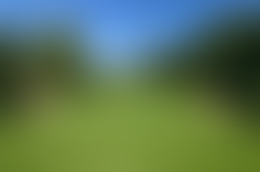 Have you ever played on grass?