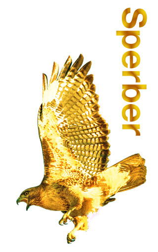 Der Sperber