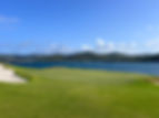 IMG_5961.jpeg