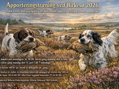 Apporteringstræning ved Birksø 2026