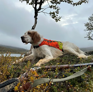 Skærmbillede 2026-04-23 kl. 17.05.58.png