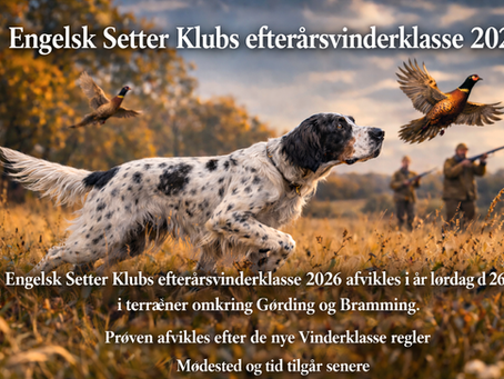 Engelsk Setter Klubs Efterårsvinderklasse 2026