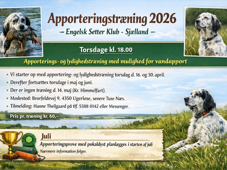 Apporteringstræning