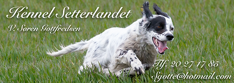 Setterlandet.png