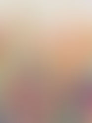 Tão longe, tão perto: notas sobre a vitalização no atendimento em linha