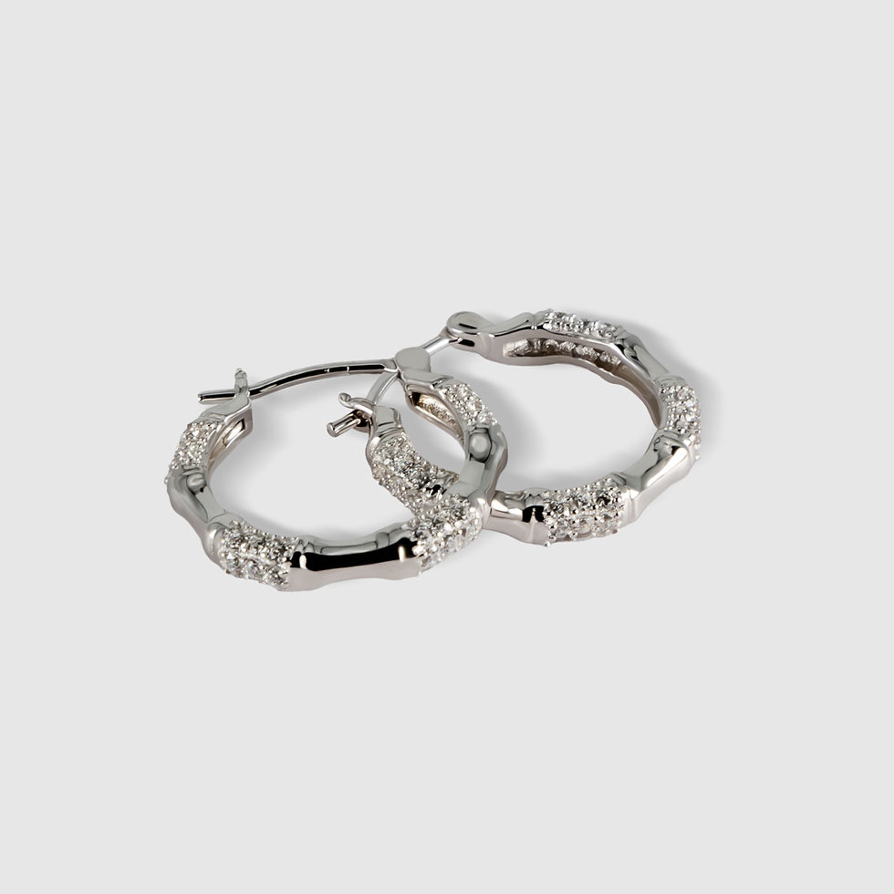 Pavé Segment Hoops_2