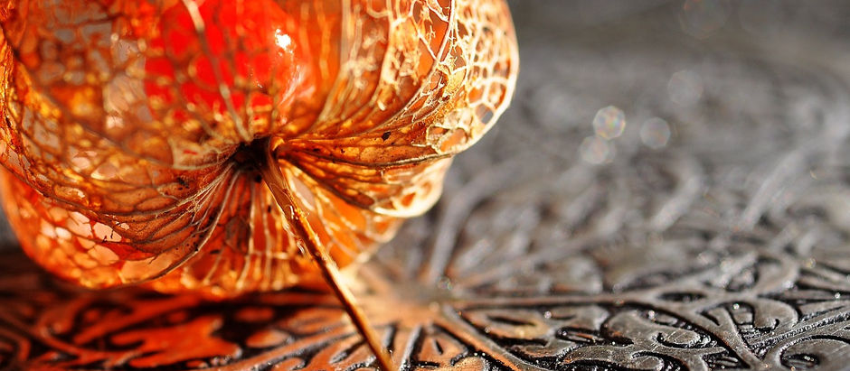 Infoanlässe Oktober - November