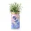 Thumbnail: Garden Jars - Organic Herbs