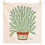 Thumbnail: Rose Garden - Dish Towel Set of 2