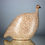 Thumbnail: Guinea Fowl Matte White Spotted Bordeaux