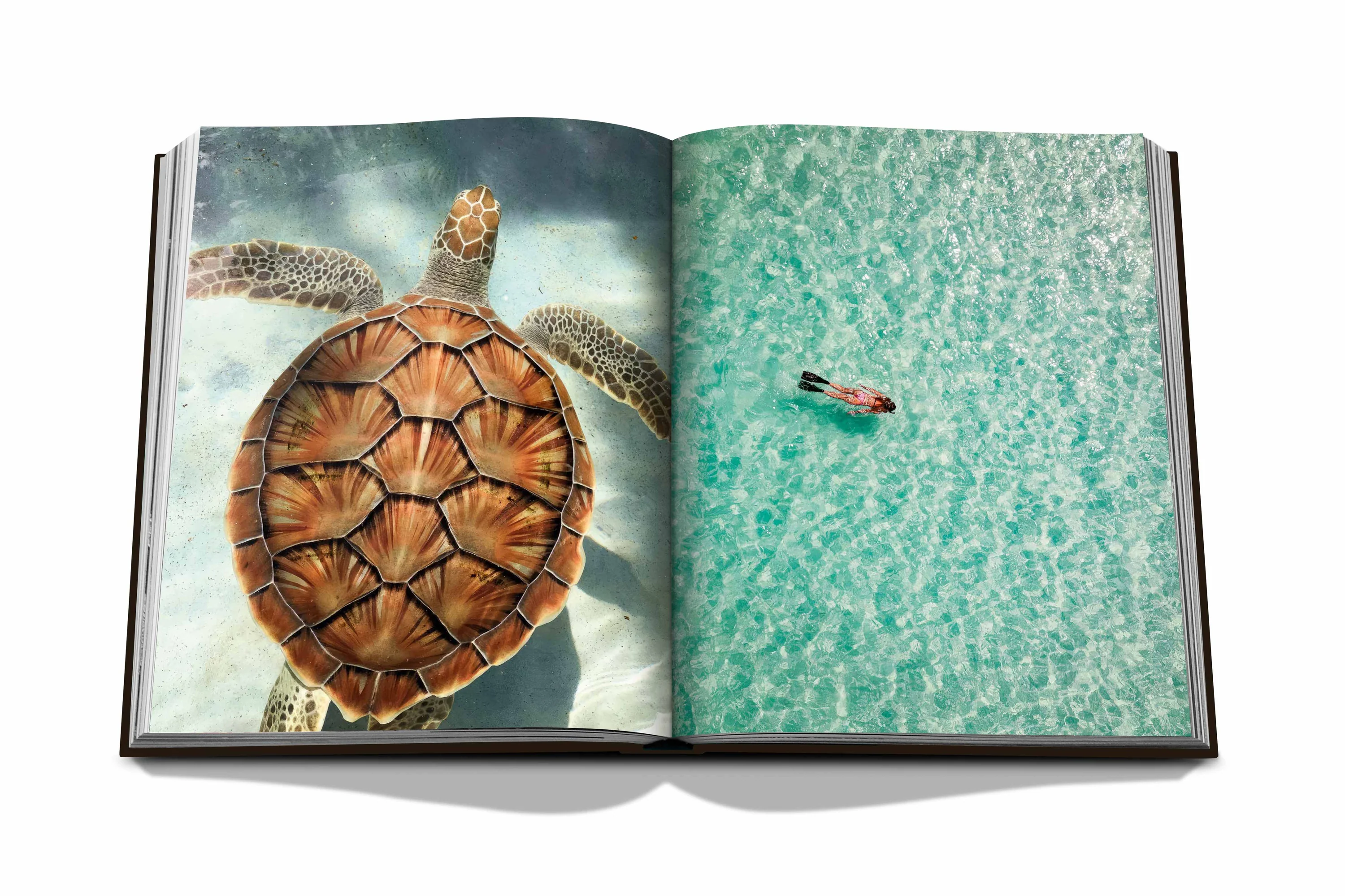 Spread from the Jamaica Vibes coffee table book showing high resolution images of a turtle an a diver in Jamaican waters