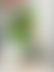 Giving Thanks, Giving Back: Wrapped in Care, Community, and celebrating local love as the holidays begin