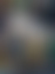 Bad Bunny at the Super Bowl: A Style Moment With Roots and Rhythm