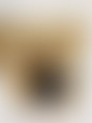 Locale's December Style Report