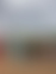 The Culture Around Creativity in Jamaican Fashion: Competition or Community?