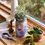 Thumbnail: Garden Jars - Organic Herbs