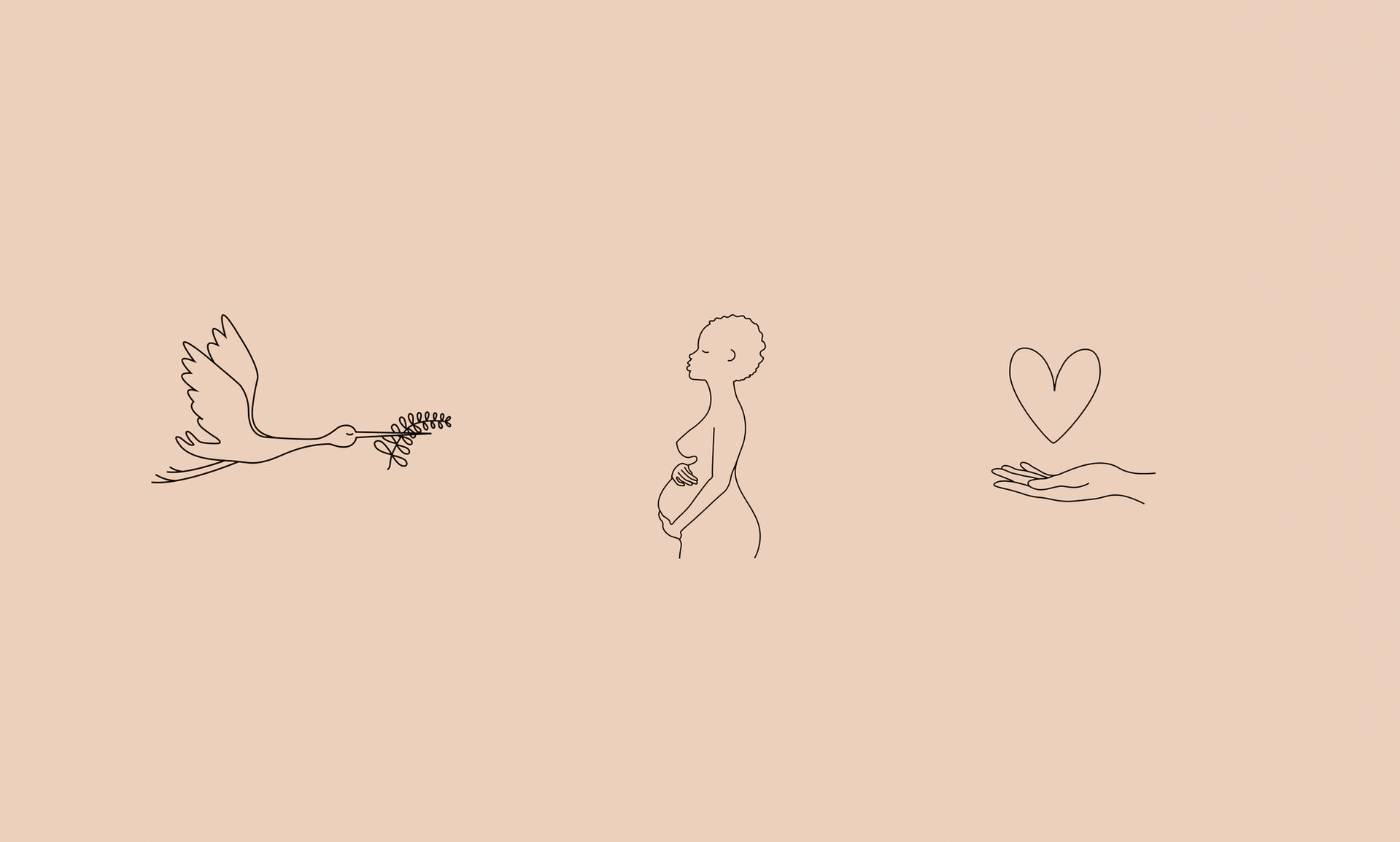 Illustrations.jpg