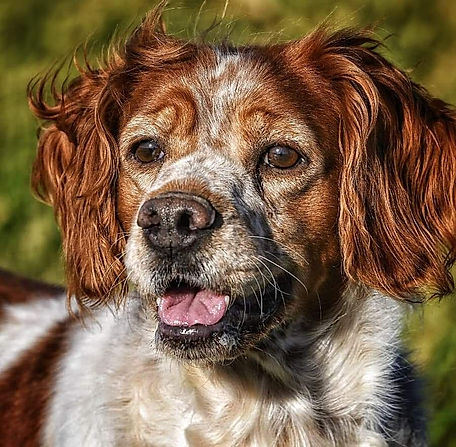 Iuka Head shot.jpeg