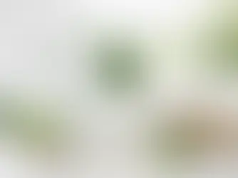 L'aloe vera pour les peaux sensibles qui en nécessitent moins