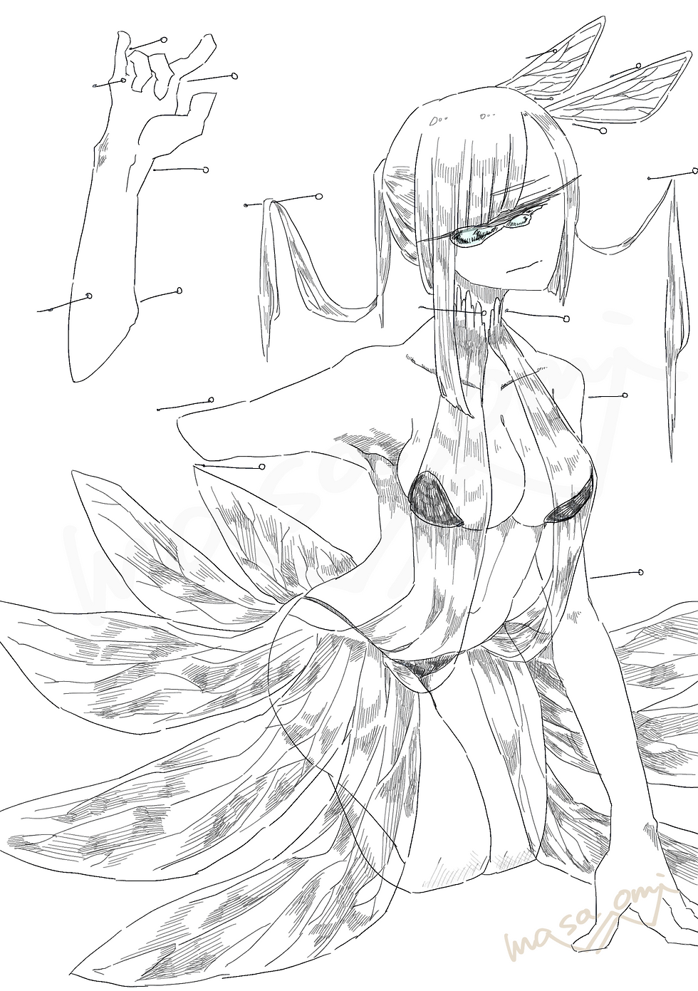 240604むしのひっぽい