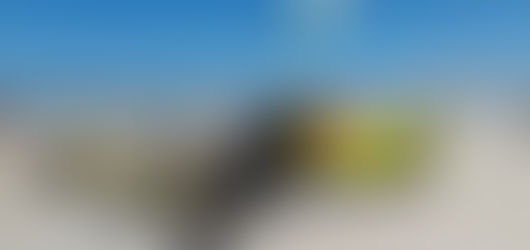 Mardi 25 avril - J'y ai échappé