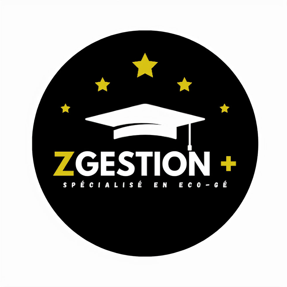 Zgestion +-17_edited.jpg